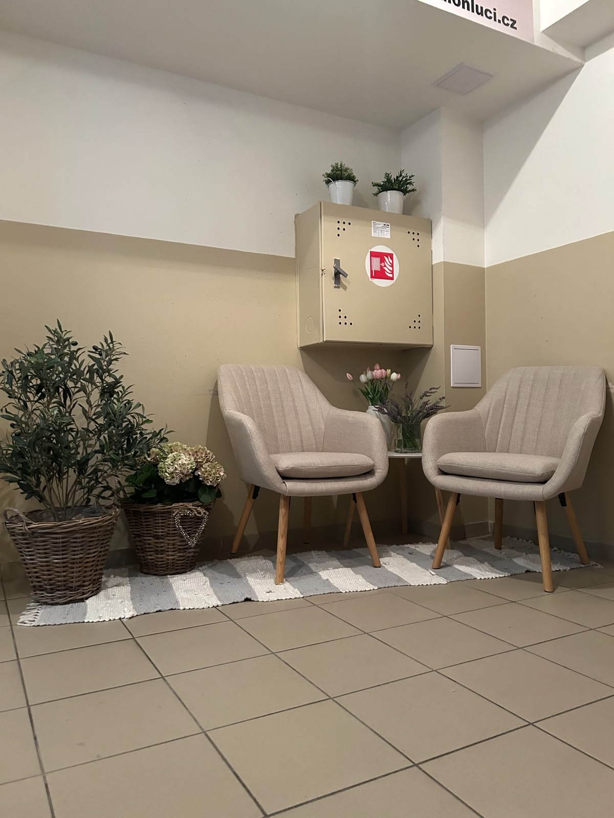 Psí salon LUCI - 9,3